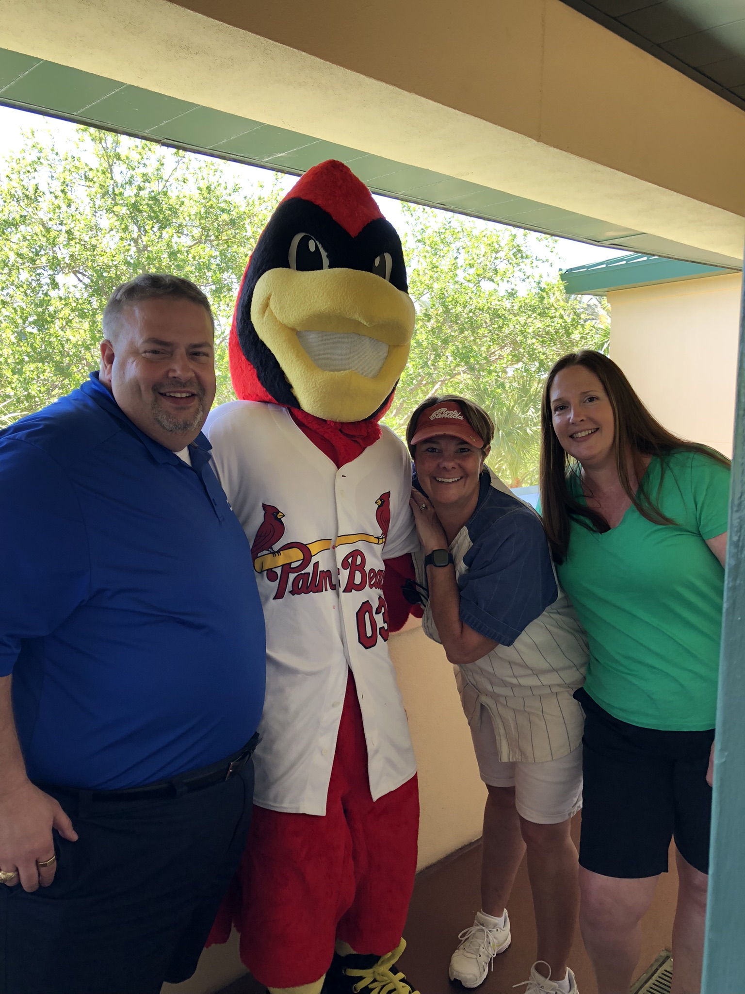 CEG spring training baseball